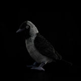 Realistic Jackdaw Plush Toy, 9-Inch Lifelike Eurasian Jackdaw Stuffed Animal Bird, Soft Crow & Raven Family Plushie