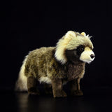 Realistic Common Raccoon Dog Stuffed Animal Plush Toy, Common Raccoon Dog Plushies