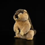Realistic Groundhog Stuffed Animal Plush Toy, Marmota Plushies