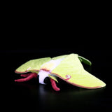 Realistic Luna Moth Stuffed Animal Plush Toy, Luna Moth Plushies