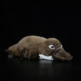 Realistic Platypus Stuffed Animal Plush Toy, Platypus Plushies