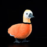 Realistic Ruddy Shelduck Stuffed Animal Plush Toy, Duck Plushies