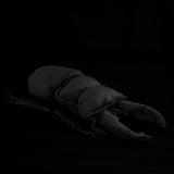 Realistic Palawan Stag Beetle Plushie – Soft Giant Insect Stuffed Animal