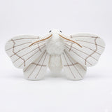 White Silk Moth Plush Toy - Cute Realistic Stuffed Insect Mothie, Soft Fluffy Animal Doll for Moth Lover & Home Decor