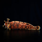 Japanese Warbonnet Fish Plush Toy 20.5" (52cm) - Realistic Fringed Blenny Ocean Animal Stuffed Plushie