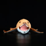 Realistic Kronosaurus Stuffed Animal Plush Toy, Kronosaurus Plushies