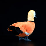 Realistic Ruddy Shelduck Stuffed Animal Plush Toy, Duck Plushies