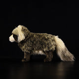 Realistic Common Raccoon Dog Stuffed Animal Plush Toy, Common Raccoon Dog Plushies