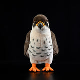 Realistic Peregrine Falcon Stuffed Animal Plush Toy, Bird Plushies