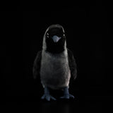 Realistic Jackdaw Plush Toy, 9-Inch Lifelike Eurasian Jackdaw Stuffed Animal Bird, Soft Crow & Raven Family Plushie