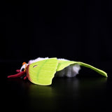 Realistic Indian Moon Moth Stuffed Animal Plush Toy, Moth Plushies