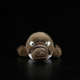 Realistic Platypus Stuffed Animal Plush Toy, Platypus Plushies