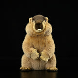 Realistic Groundhog Stuffed Animal Plush Toy, Marmota Plushies