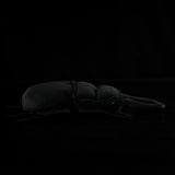 Realistic Giant Stag Beetle Stuffed Animal Plush Toy, Giant Stag Beetle Plushies