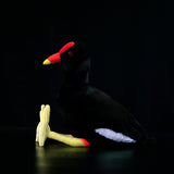 Realistic Common Moorhen Stuffed Animal Plush Toy, Common Moorhen Plushies
