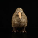 Realistic Kiwi Bird Stuffed Animal Plush Toy, Kiwi Plushies