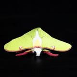 Realistic Luna Moth Stuffed Animal Plush Toy, Luna Moth Plushies