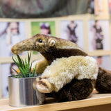 Realistic Anteater Stuffed Animal Plush Toy