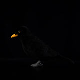 Realistic Chinese Blackbird Stuffed Animal Plush Toy, Bird Plushies