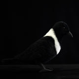 Lifelike Pied Crow Plush Toy – Realistic White-Necked Raven Stuffed Animal