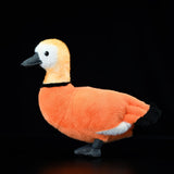 Realistic Ruddy Shelduck Stuffed Animal Plush Toy, Duck Plushies