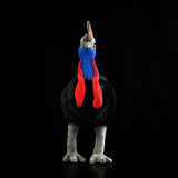 Lifelike Southern Cassowary Plush Toy - 16.5" Realistic Australian Wild Bird Stuffed Animal