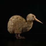 Realistic Kiwi Bird Stuffed Animal Plush Toy, Kiwi Plushies