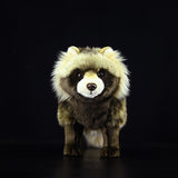 Realistic Common Raccoon Dog Stuffed Animal Plush Toy, Common Raccoon Dog Plushies