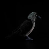 Realistic Jackdaw Plush Toy, 9-Inch Lifelike Eurasian Jackdaw Stuffed Animal Bird, Soft Crow & Raven Family Plushie