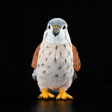 Realistic Common Kestrel Stuffed Animal Plush Toy, Bird Plushies