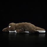 Realistic Platypus Stuffed Animal Plush Toy, Platypus Plushies