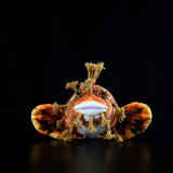 Japanese Warbonnet Fish Plush Toy 20.5" (52cm) - Realistic Fringed Blenny Ocean Animal Stuffed Plushie