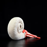 Realistic Ammonite Fossil Plush Toy - Prehistoric Sea Creature Stuffed Animal