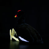 Realistic Common Moorhen Stuffed Animal Plush Toy, Common Moorhen Plushies