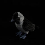 Realistic Jackdaw Plush Toy, 9-Inch Lifelike Eurasian Jackdaw Stuffed Animal Bird, Soft Crow & Raven Family Plushie