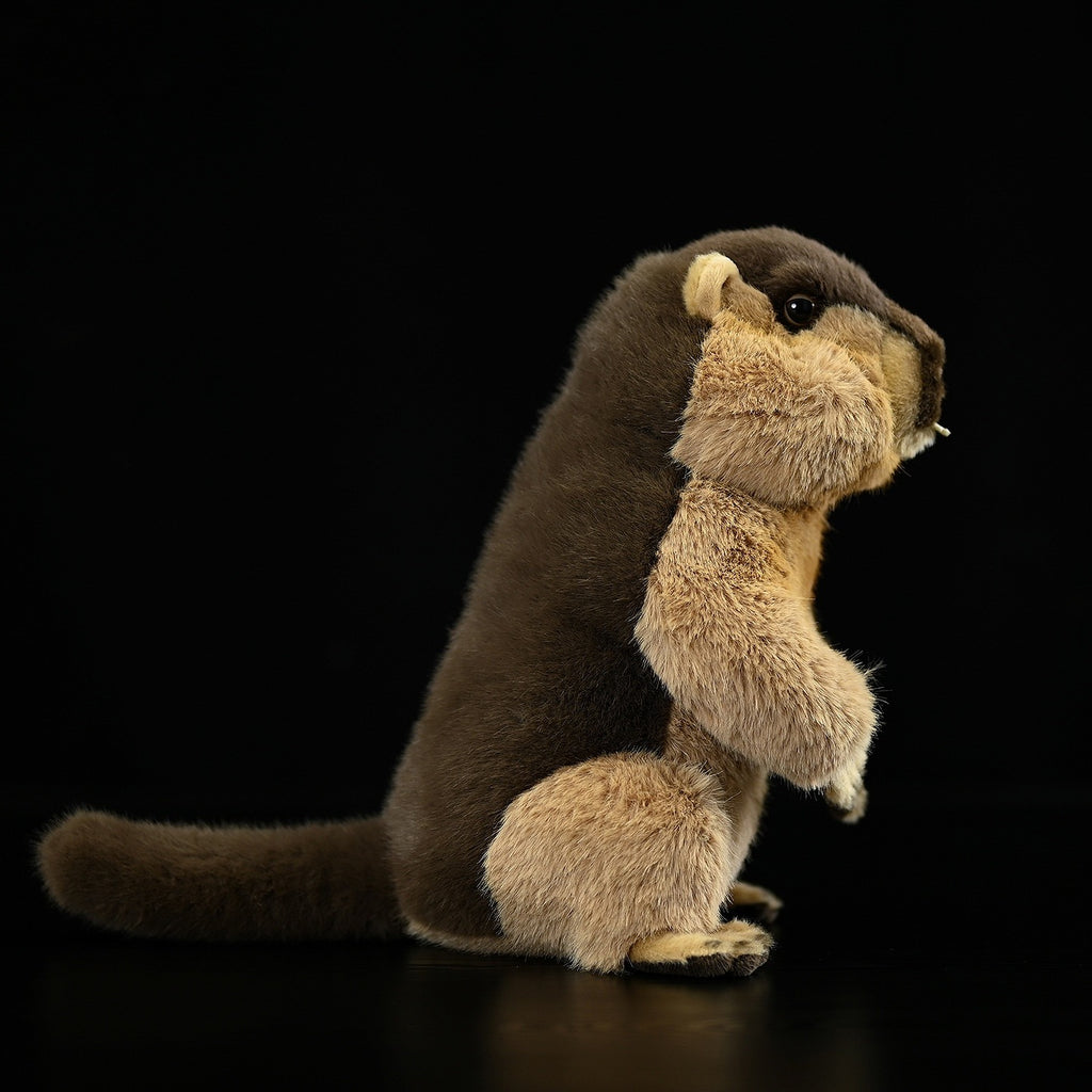 Realistic Groundhog Stuffed Animal Plush Toy, Marmota Plushies – KEAIART