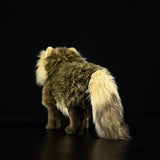 Realistic Common Raccoon Dog Stuffed Animal Plush Toy, Common Raccoon Dog Plushies