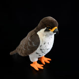 Realistic Peregrine Falcon Stuffed Animal Plush Toy, Bird Plushies