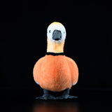 Realistic Ruddy Shelduck Stuffed Animal Plush Toy, Duck Plushies