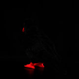 12" Lifelike Red-billed Chough Plush Toy – Soft Alpine Crow Stuffed Animal