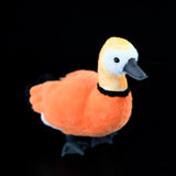 Realistic Ruddy Shelduck Stuffed Animal Plush Toy, Duck Plushies