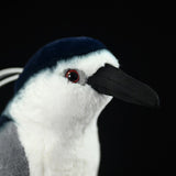 Realistic Black-crowned Night Heron Stuffed Animal Plush Toy, Bird Plushies