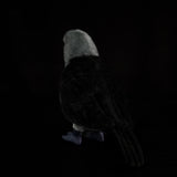 Realistic Jackdaw Plush Toy, 9-Inch Lifelike Eurasian Jackdaw Stuffed Animal Bird, Soft Crow & Raven Family Plushie