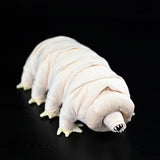 Realistic Water Bear Stuffed Animal Plush Toy, Tardigrades Plushies