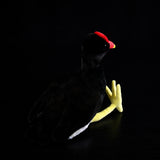 Realistic Common Moorhen Stuffed Animal Plush Toy, Common Moorhen Plushies