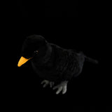 Realistic Chinese Blackbird Stuffed Animal Plush Toy, Bird Plushies