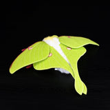 Realistic Luna Moth Stuffed Animal Plush Toy, Luna Moth Plushies