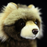 Realistic Common Raccoon Dog Stuffed Animal Plush Toy, Common Raccoon Dog Plushies