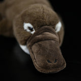 Realistic Platypus Stuffed Animal Plush Toy, Platypus Plushies