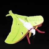 Realistic Indian Moon Moth Stuffed Animal Plush Toy, Moth Plushies